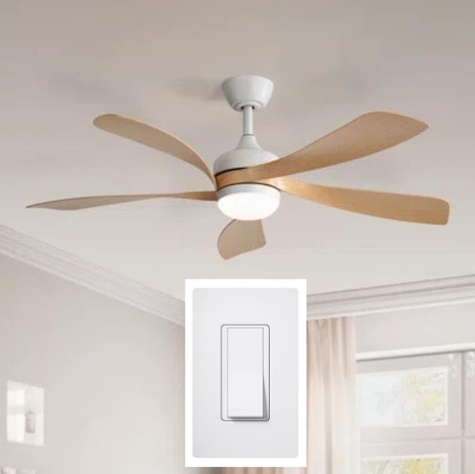 Fan Pre-Wire with 1 Switch Package