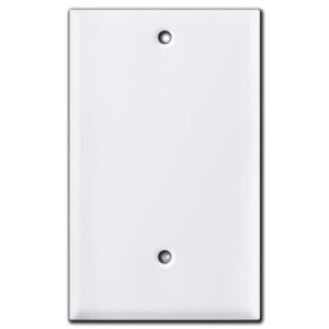 220V Blanked Off Switch