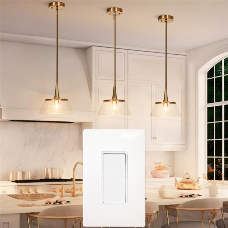 3-Pendant Pre-Wire with 1 Switch Package - Image 2