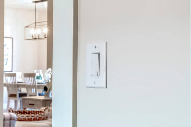 Single-Pole Paddle Switch - Image 3