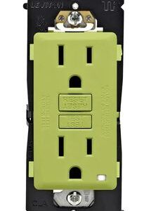 Renu/ Receptacle/ GFI Duplex/ 15AMP/ 110V/ Notes:Color