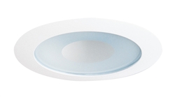 5 Shower Trim/White Frosted Lense/IC Rated/50W PAR30"